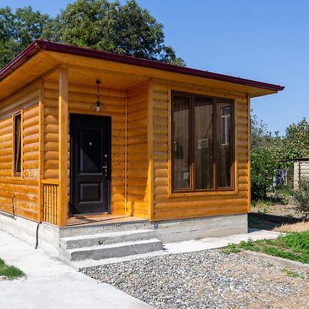 Cosy Kvara77 Sugdidi Exterior foto